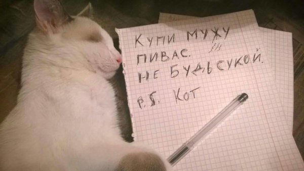 Нашел женщину без комплексов. Последствия