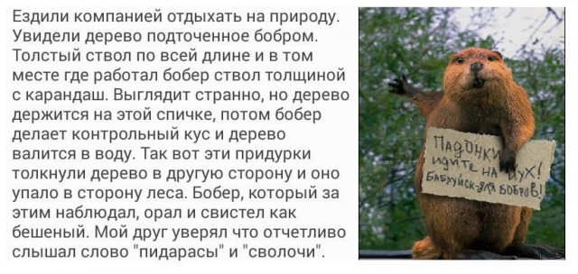 Чуток картинок. 12.01.2020