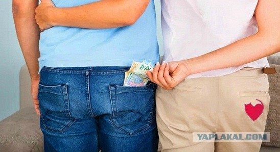 Помогите вернуть кота! Приют "Преданное сердце" украл кота и не отдает!-2