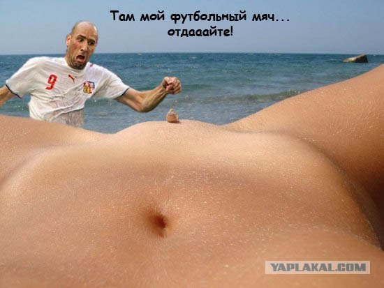 Ракушка и море