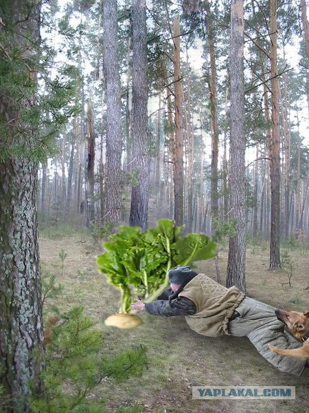 Фотожаба: Охотник и его верный пес