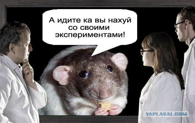 Фотожаба: Что увидели врачи?