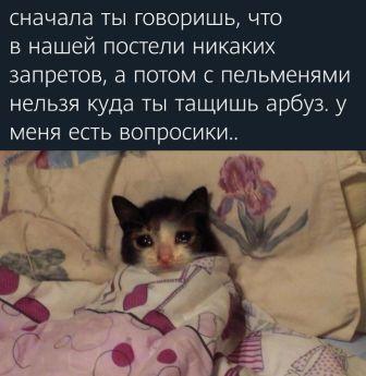Картинки и мемы для настроения 009