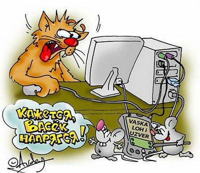 С котопятницей! Улыбнемся?