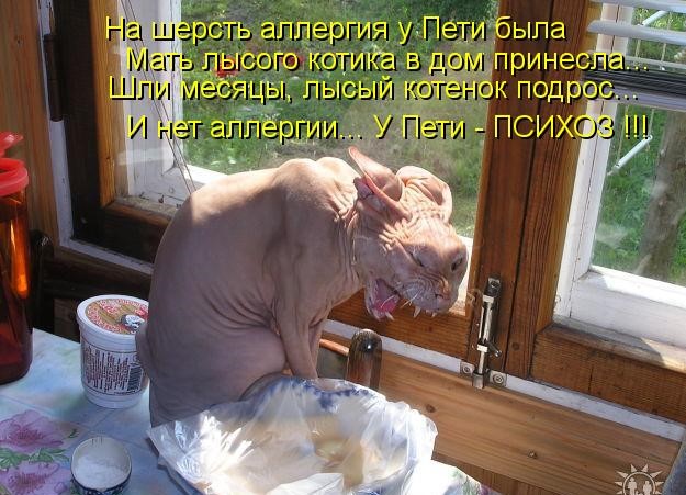 Бредзона 06.02.21