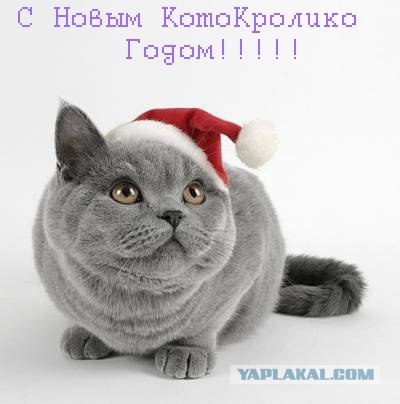 C Новым 2011 Годом!