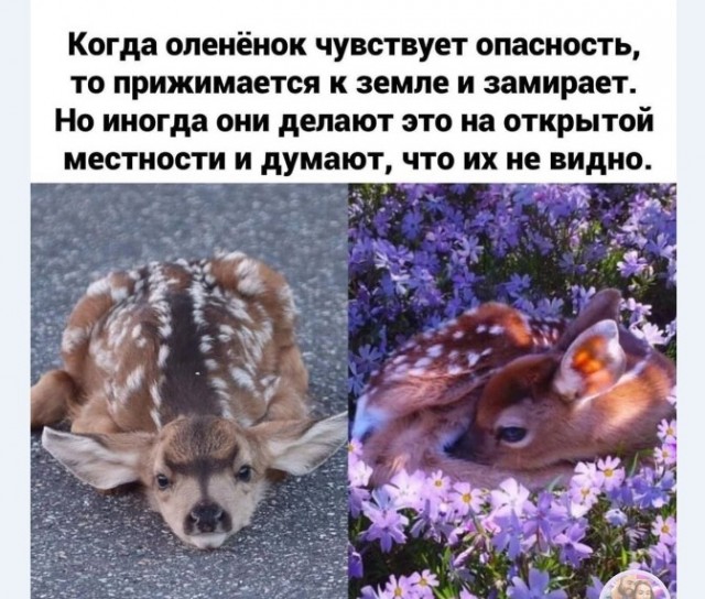 Картинки и мемы для настроения