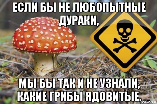 Дебилизмы из сети Night Edition 27.02.21
