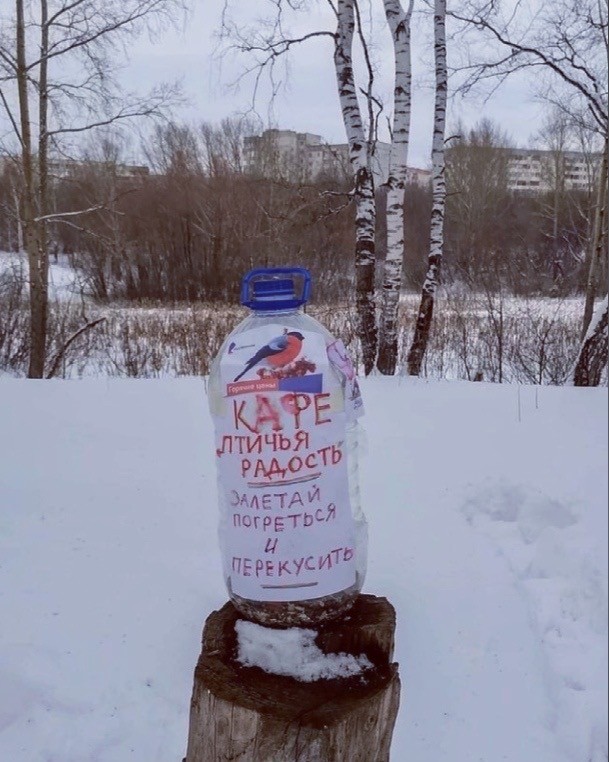 Дегратинки!