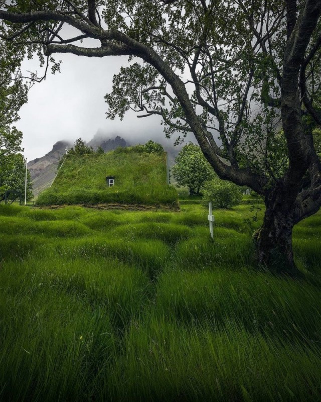 Картинки и мемы для настроения 19.05.2021