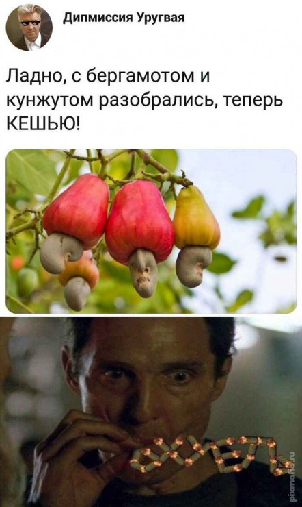 Картинки и мемы для настроения 008