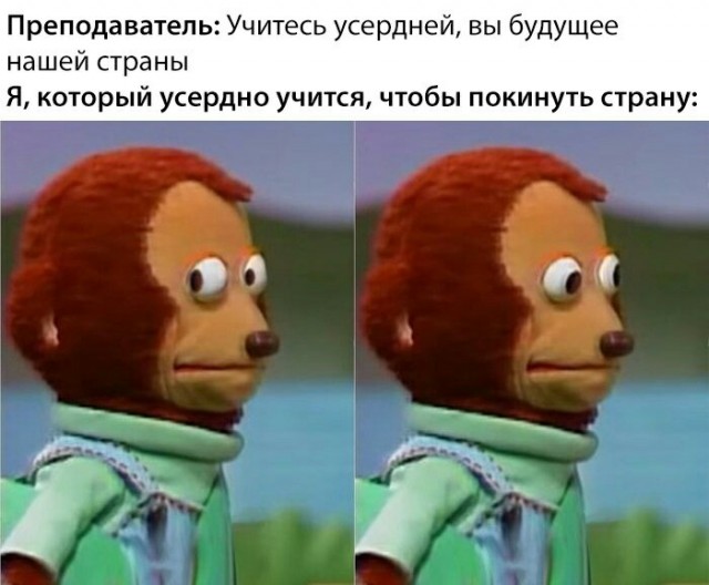 Россияне хотят уехать из страны: в возрасте от 18 до 24 лет так ответила половина.