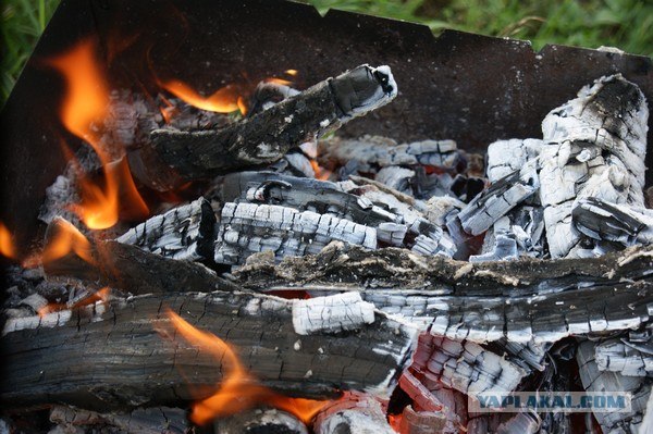 Шашлык, рецепты маринада, все про шашлык!