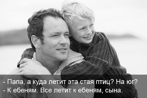 Почему нас так просто обдурить или окно  Овертона.