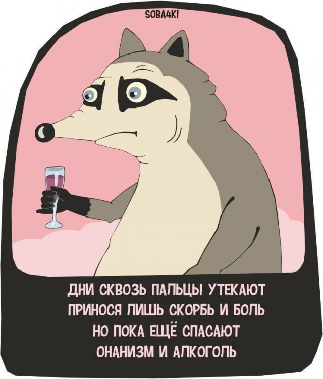 Забавные комментарии из социальных сетей 20.09.21