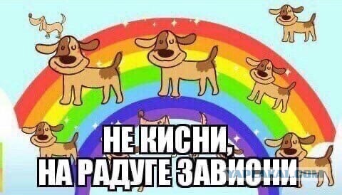 В Улан-Удэ неизвестные пригрозили травить собак