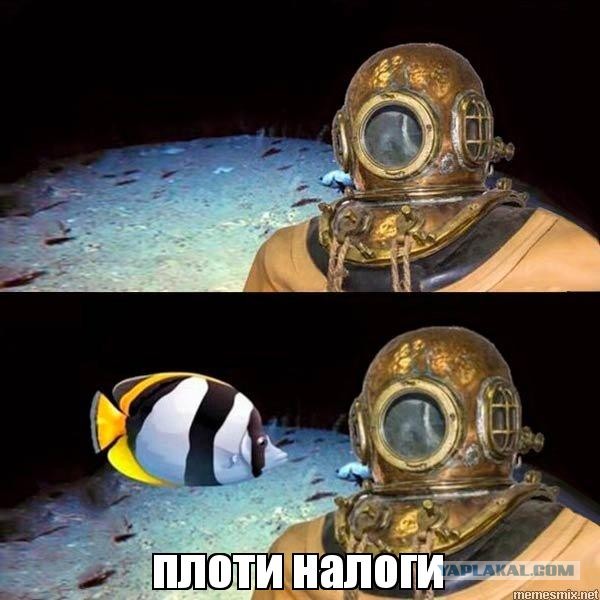 Налог на твою собственность
