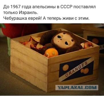 Вот это я понимаю, мандаринки!