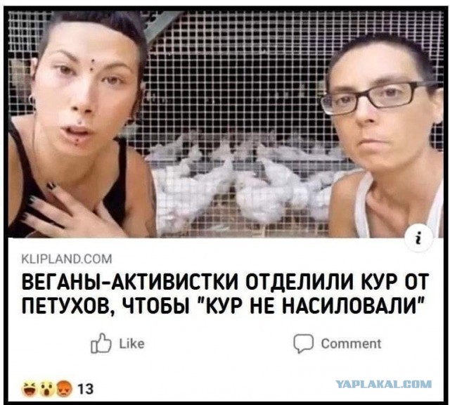 Воскресная Хня вам в ленту, дорогие деграданты