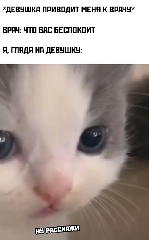 Весёлый полтишок 03.01