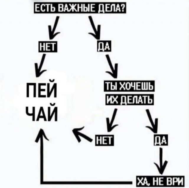 Человек собаке друг и другие картинки под настроение 13.01.2022