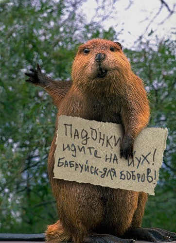 Задержали террористов