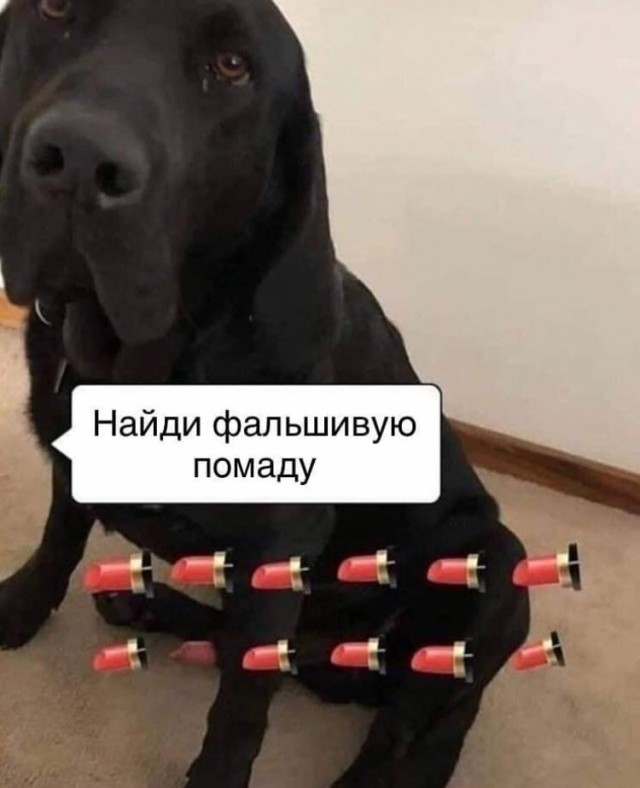 Так себе картинки 15.04.22