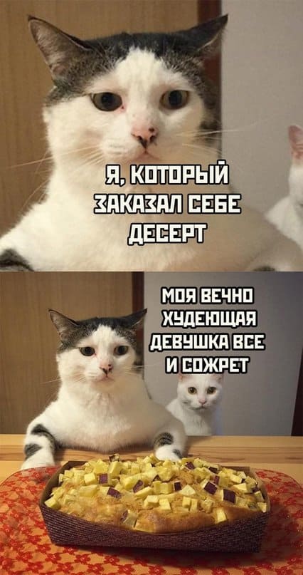 Баянисто-небаянистый юмор 21.04.22