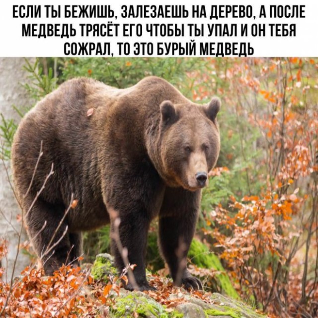 Картинки и мемы для настроения - 19