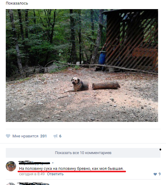 Видели брёвна?