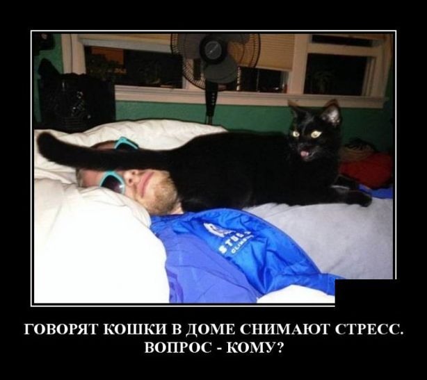 Псто с картинками