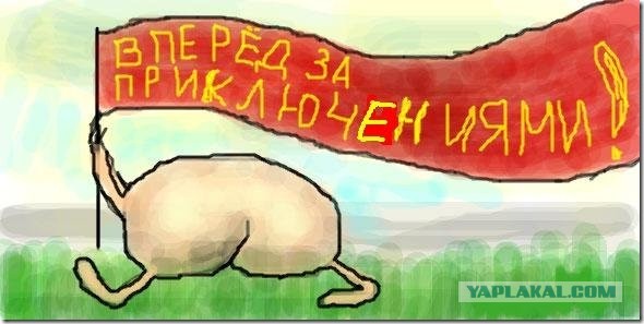 Рогозин пообещал операцию «Возмездие» для ранившего его расчета ВСУ