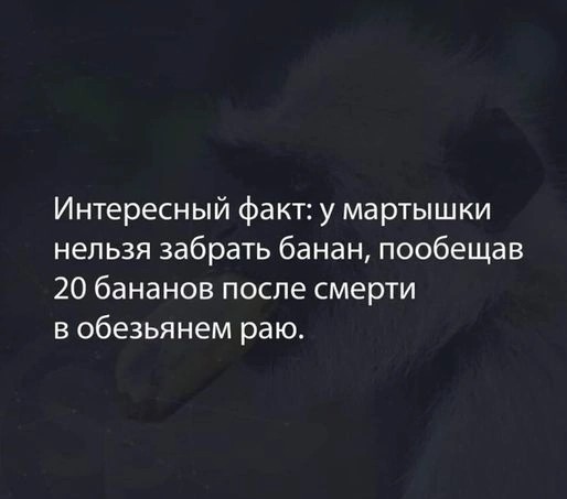 Нуштош 03.03.23