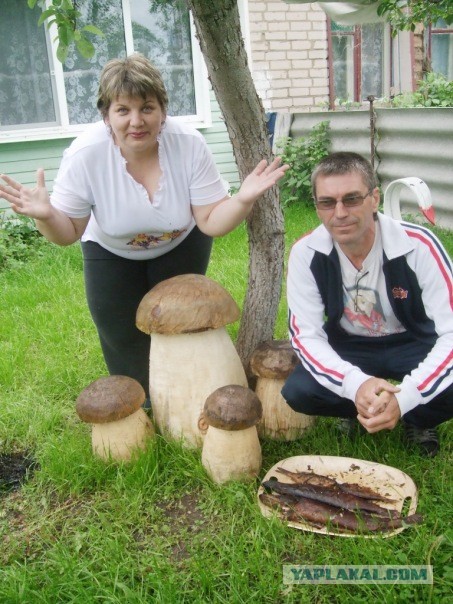 Угнали машину из Питера в Иркутск...
