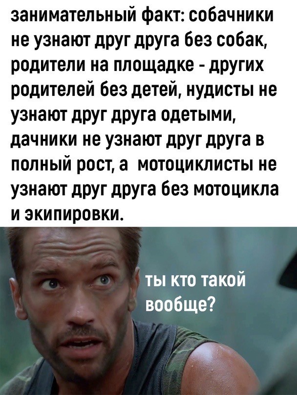 Скупка краденого из сети 09-08-2023
