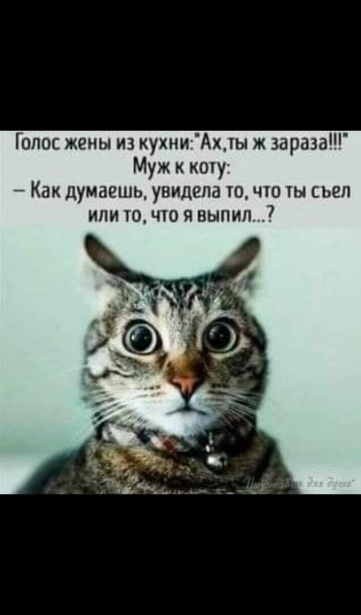 Так себе картинки 21.08.23