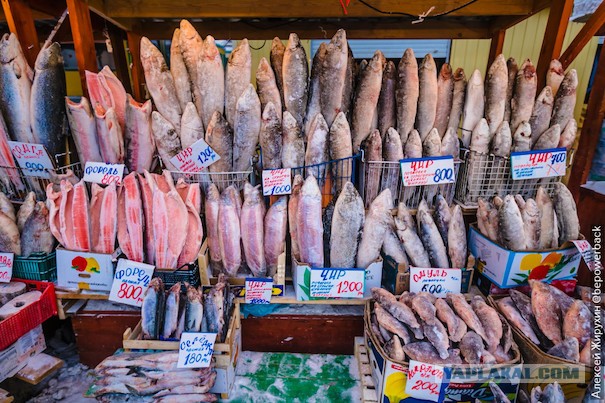 О заморозке продуктов