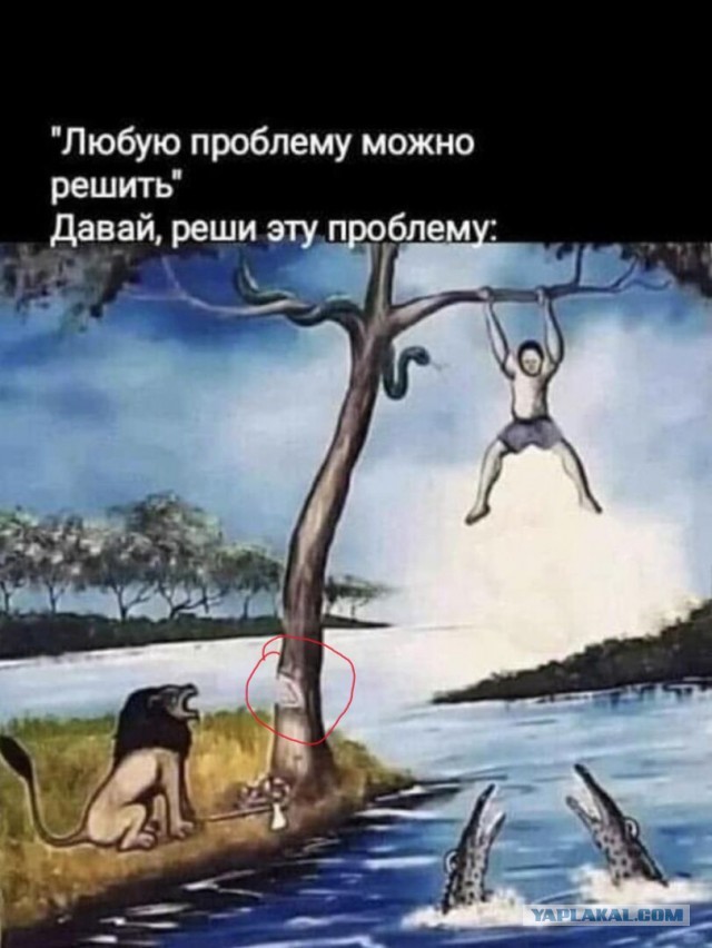 Картинки разные нужны, картинки разные важны