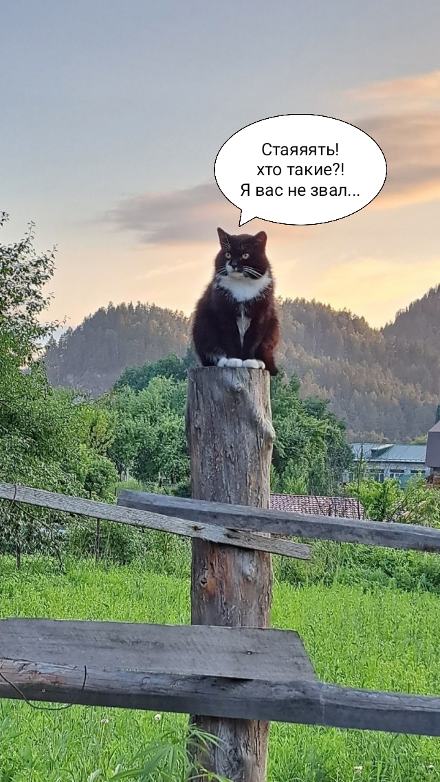 ФотоВинегрет