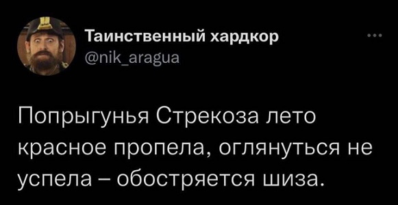 - Давайте я вам переведу