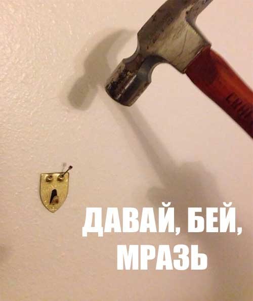 Так себе картинки 01.11.24