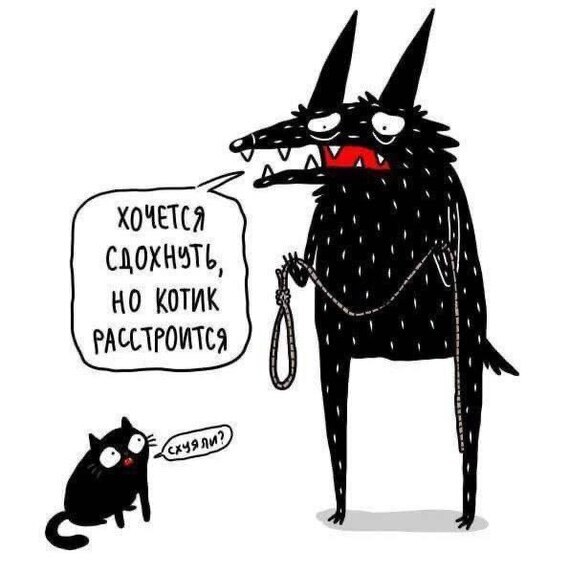 К котовторнику: подборка картинок-баянов с котиками и про котиков. Выпуск 2.