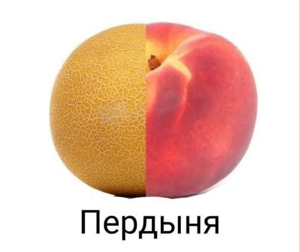 Так себе картинки 29.04.25