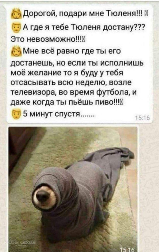 Праздничная дичь. Ударная доза