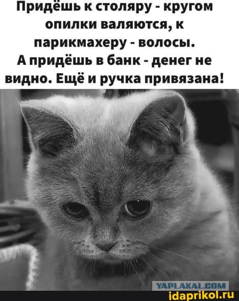 Жизненно, иногда черно, вобщем как попало