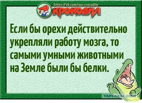 Не нанять ли нам няню?