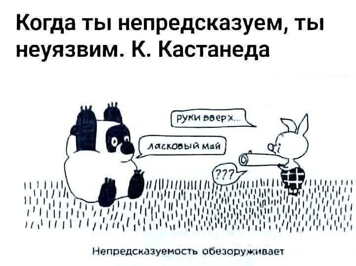 20572418.jpg