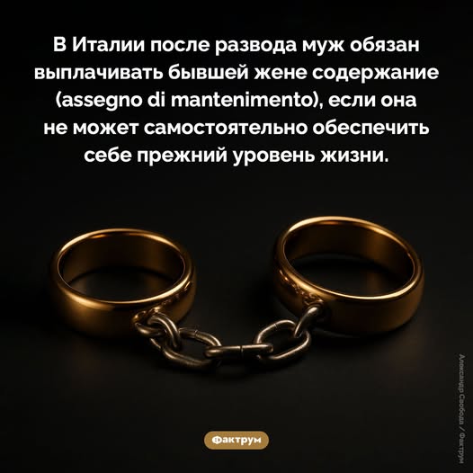 Веселые картинки в маленькую пятницу (03.12)