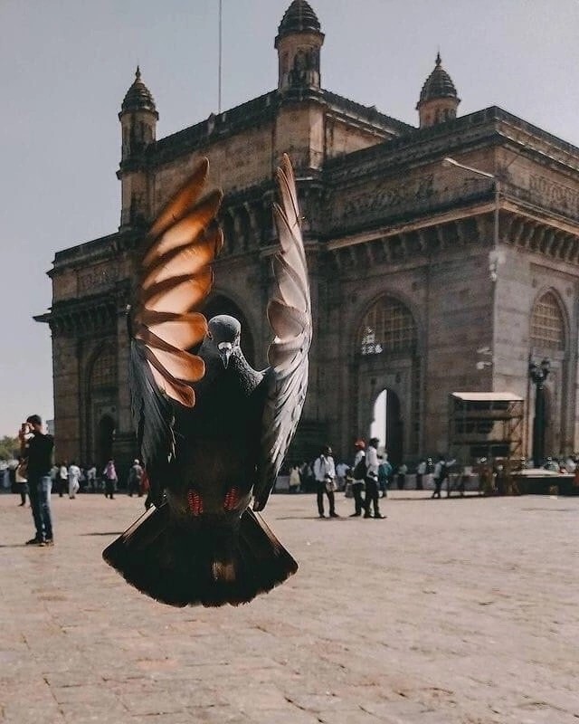 Картинки выходного дня