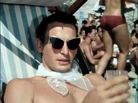 Тигр перекрыл движение на трассе в Хабаровском крае